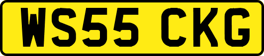 WS55CKG