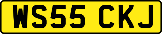 WS55CKJ