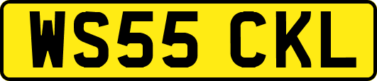WS55CKL