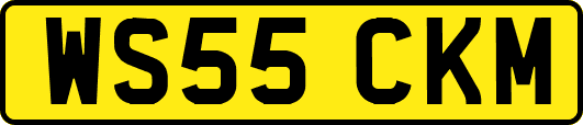 WS55CKM
