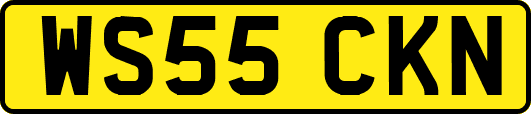 WS55CKN