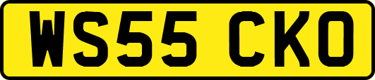 WS55CKO