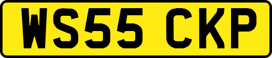 WS55CKP