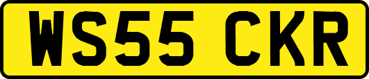 WS55CKR