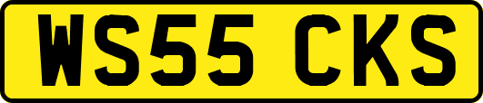 WS55CKS