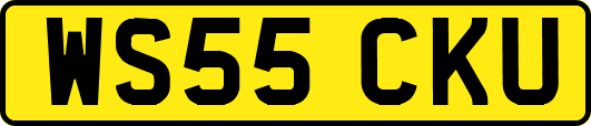 WS55CKU