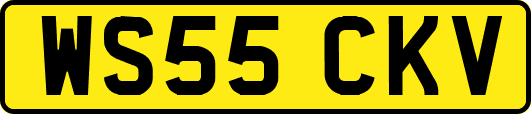 WS55CKV