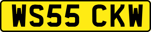 WS55CKW