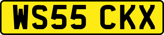 WS55CKX