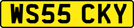 WS55CKY