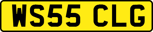 WS55CLG