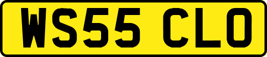 WS55CLO