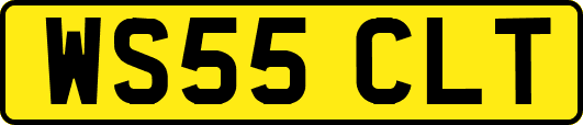 WS55CLT