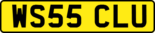 WS55CLU