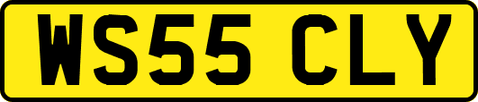 WS55CLY