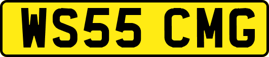 WS55CMG