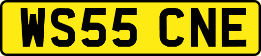 WS55CNE