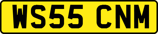 WS55CNM