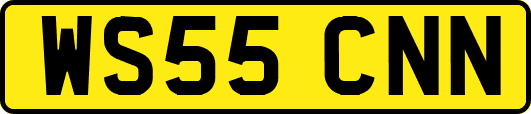 WS55CNN