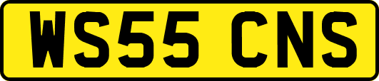 WS55CNS