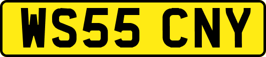 WS55CNY