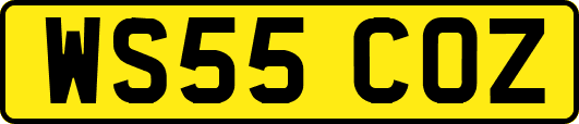 WS55COZ