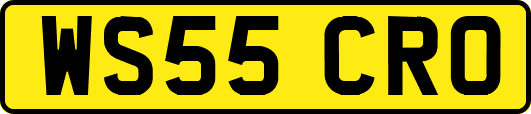 WS55CRO