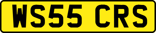 WS55CRS