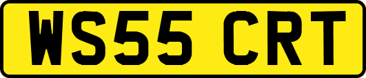 WS55CRT