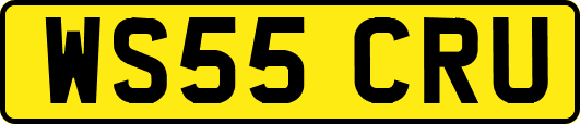 WS55CRU