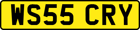 WS55CRY