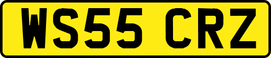 WS55CRZ