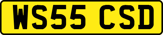 WS55CSD