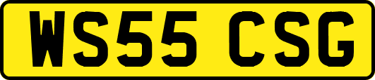 WS55CSG