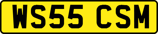 WS55CSM