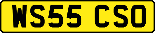 WS55CSO