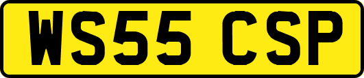 WS55CSP