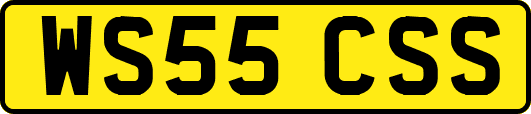 WS55CSS