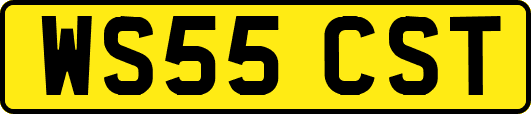 WS55CST