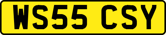 WS55CSY
