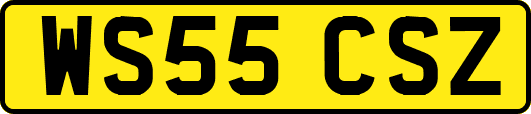 WS55CSZ