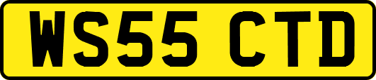 WS55CTD