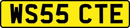 WS55CTE