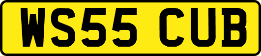 WS55CUB