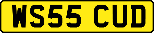 WS55CUD
