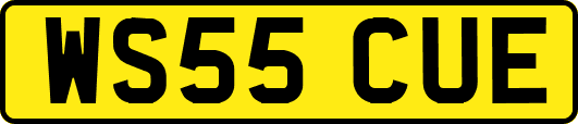 WS55CUE