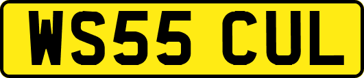 WS55CUL
