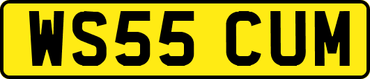 WS55CUM