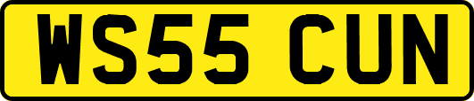 WS55CUN