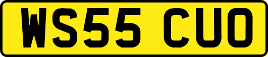 WS55CUO